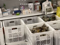 水产区-璐坊粽王(复兴中路店)