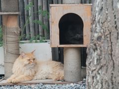 -小时光咖啡馆(开森度假森林店)