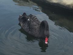 -八景休閒山莊  廣東十大名山莊