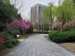 -南翔镇银翔湖公园