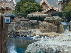 -珠海长隆海洋王国