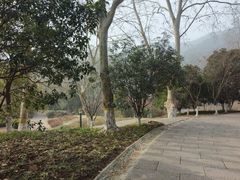 -习家池