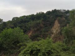 -火炉山森林公园