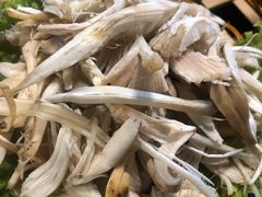 鸡枞菌-菌海森林野生菌火锅(摩根道店)