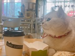 -藏猫猫咖啡主题馆(中央大道店)