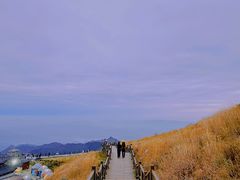 -萍乡武功山风景名胜区