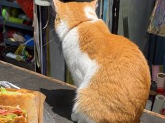 -弗劳尔花艺坊(龙涛店)