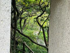 -观象山公园