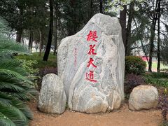 -武汉大学-樱园
