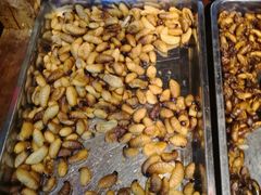 -昆虫窝子·特色云南菜(拓东路总店)