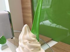 -Salud撒露欧洲冻酸奶(北苑上品店)