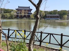 -南汇桃花村