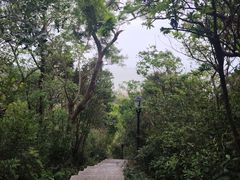 -野狸岛