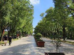 -溱湖国家湿地公园