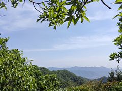 -午潮山国家森林公园