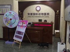 -宠爱国际动物医院· 猫科· 外科·中兽医(长白店)