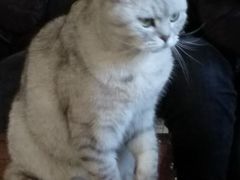 -不舍昼夜咖啡馆