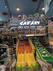 -卡通尼·Safari非洲探索乐园·生日会(金桥国际商业广场店)