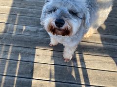 -唐咖精品咖啡(大理古城手冲店)