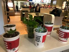 -肯德基(盘龙奥莱店)