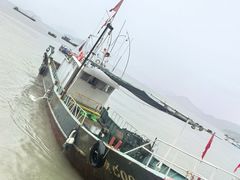 -胖嫂海鲜饭店