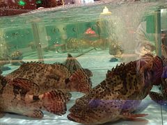 -阿伟海鲜楼·福建菜(延寿店)