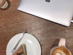 -猫里有甜