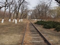 -永定河休闲森林公园