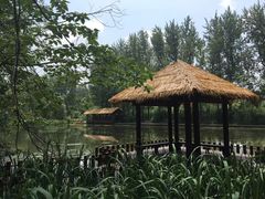 -溱湖国家湿地公园