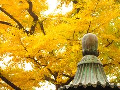 -红螺寺