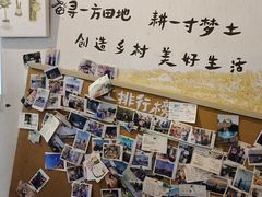 -石头会唱歌融来+北港岚台两岸交流中心