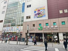 -秋叶原电器街