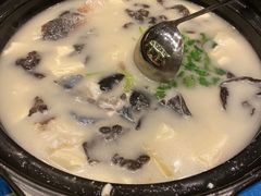 -老淳安—伴山伴湖(千岛湖开元度假村店)