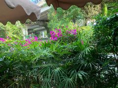 -大妙火锅·非物质文化遗产(东湖公园店)