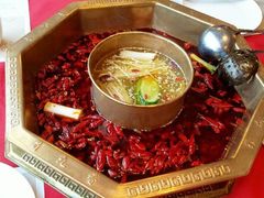 -蜀九香火锅(九眼桥店)