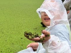 -渌洋湖湿地公园