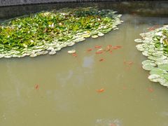 -西宁市人民公园(城西区)