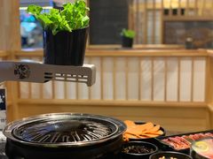 -九田家黑牛烤肉料理(石路天虹店)
