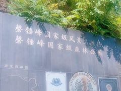 -磬锤峰森林公园