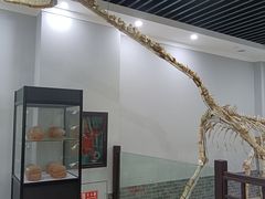 -游龙石文化科普馆