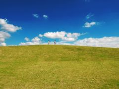 -春花秋色城市公园