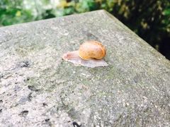 -桐君山春江扬帆码头