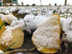 -人民防洪胜利纪念塔