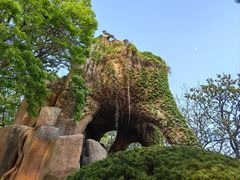 -燕窝岭