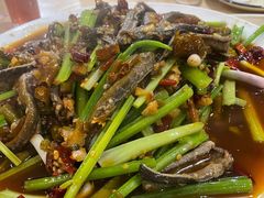 泡椒土鳝鱼-春涛餐馆(下坝店)