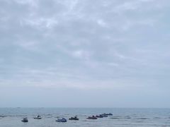 -贝壳沙滩