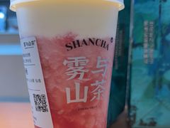 -雾与山茶(大禹城店)