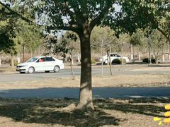 -小昆山驾校·基地自营(松江大学城实体店)