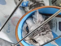 -嘟宝宠物生活馆(白桦林居店)