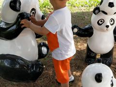 -南戴河国际娱乐中心